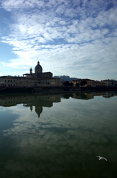 Afternoon Cestello