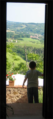 Toscana: Cantine Aperte.