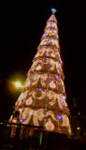 courtesy of my LG cameraphone, the very fuzzy Christmas tree on the waterfront in Lisbon.