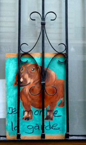 Cave canem. Attenti al cane. Etc.