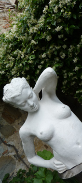 Giardino di Palazzo Wagni�re-Fontana Elliott