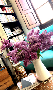Lilacs from last year, when there was still a cat that loved lilacs.